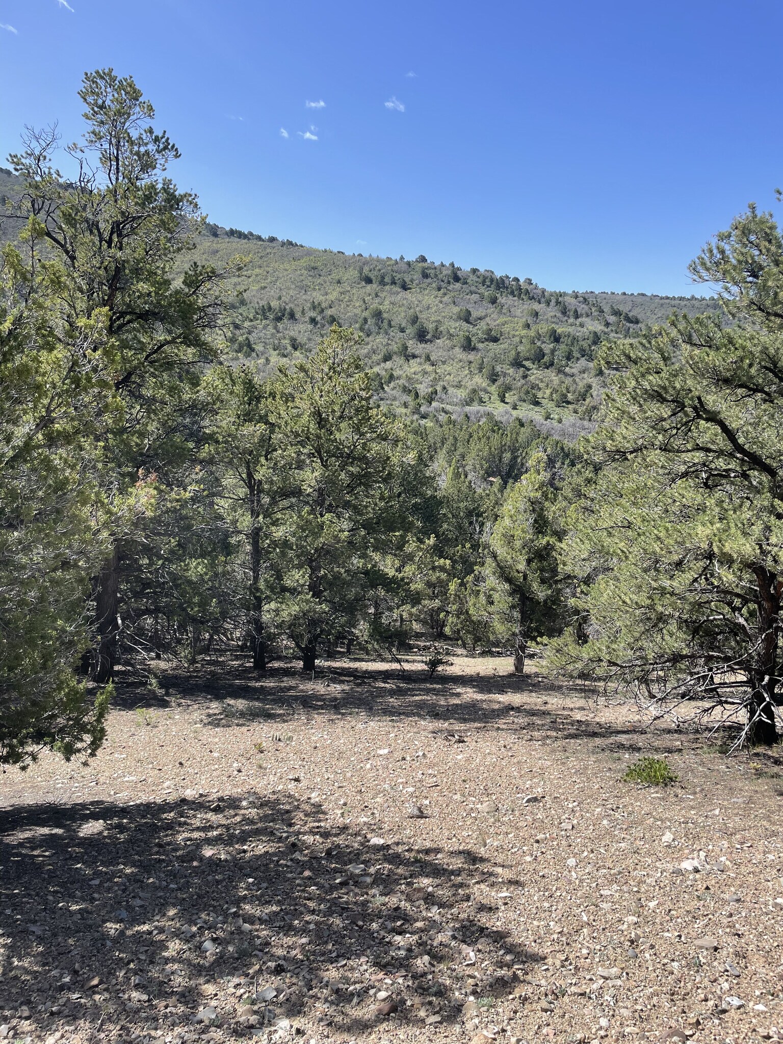 East Highway 89, Indianola, UT for Sale