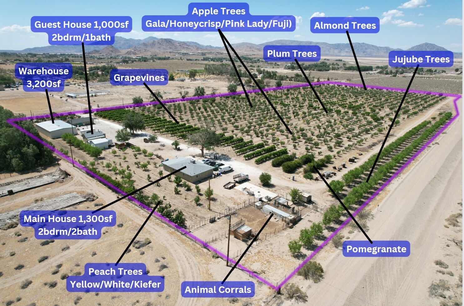 10099 Highland Ave, Lucerne Valley, CA for Sale