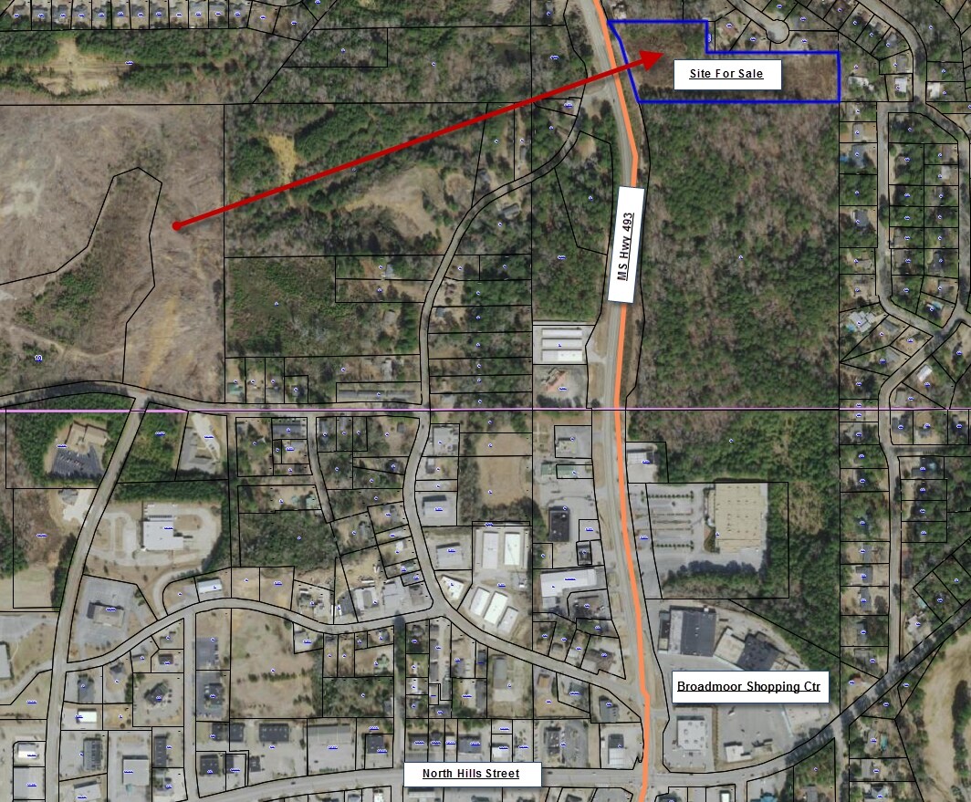N Hills St And HWY 493, Meridian, MS for Sale