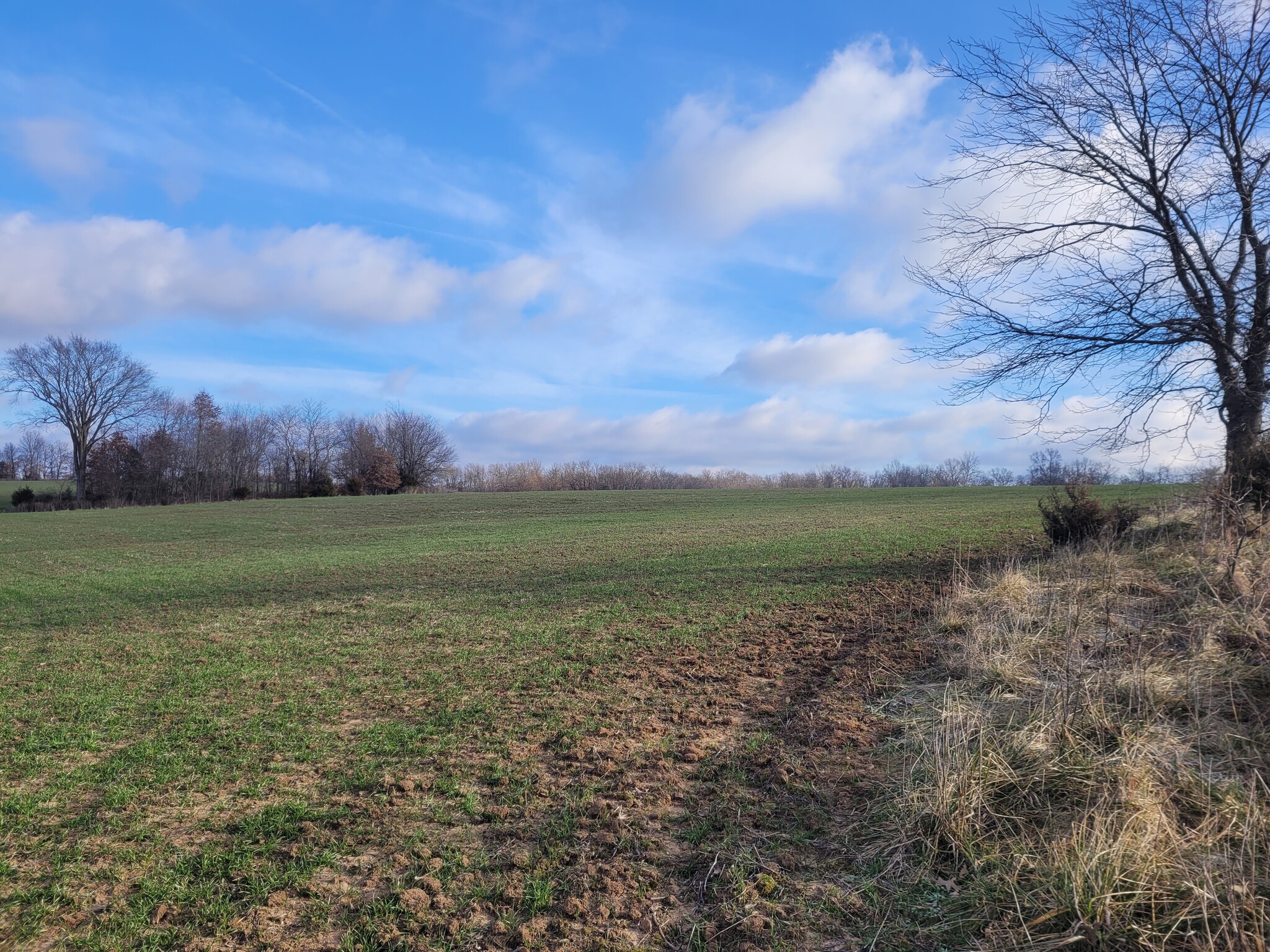 Bales Rd. (26.5+/- Acres), Middletown, MO for Sale