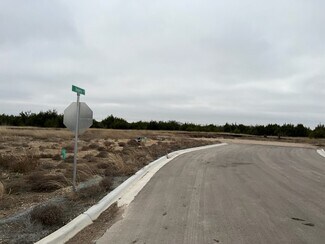 Button Bush Ct FM 439 Button Bush Ct