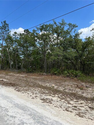 Weeki Wachee, FL Residential - Sage Thrasher Avenue Weeki Wachee, FL Residential - Sage Thrasher Avenue