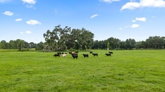 Webster, FL Agricultural - CR 774