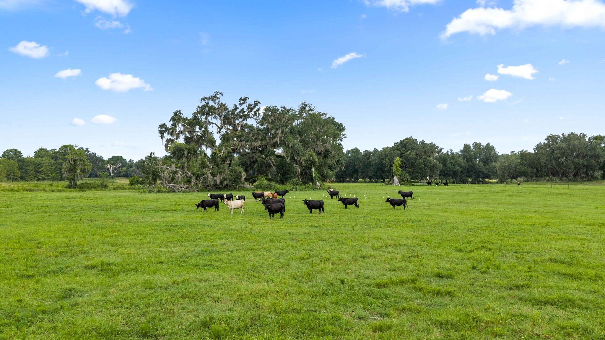 CR 774, Webster, FL for Sale
