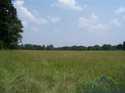 1 COX LANE / POST OAK rd, Kilgore, TX for Sale