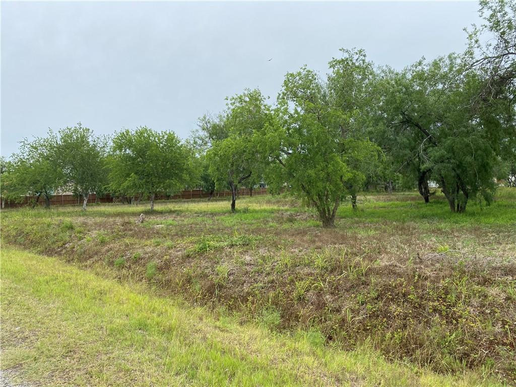 Cemetery Road @ 4th, Sinton, TX for Sale