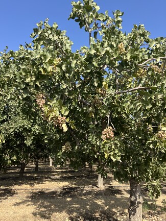 Arvin, CA Agricultural - North of Sebastian Rd