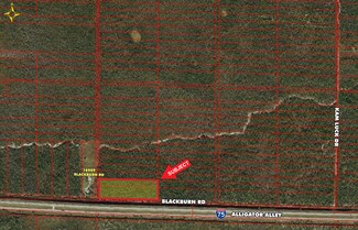 Naples, FL Agricultural Land - 0 Blackburn Rd