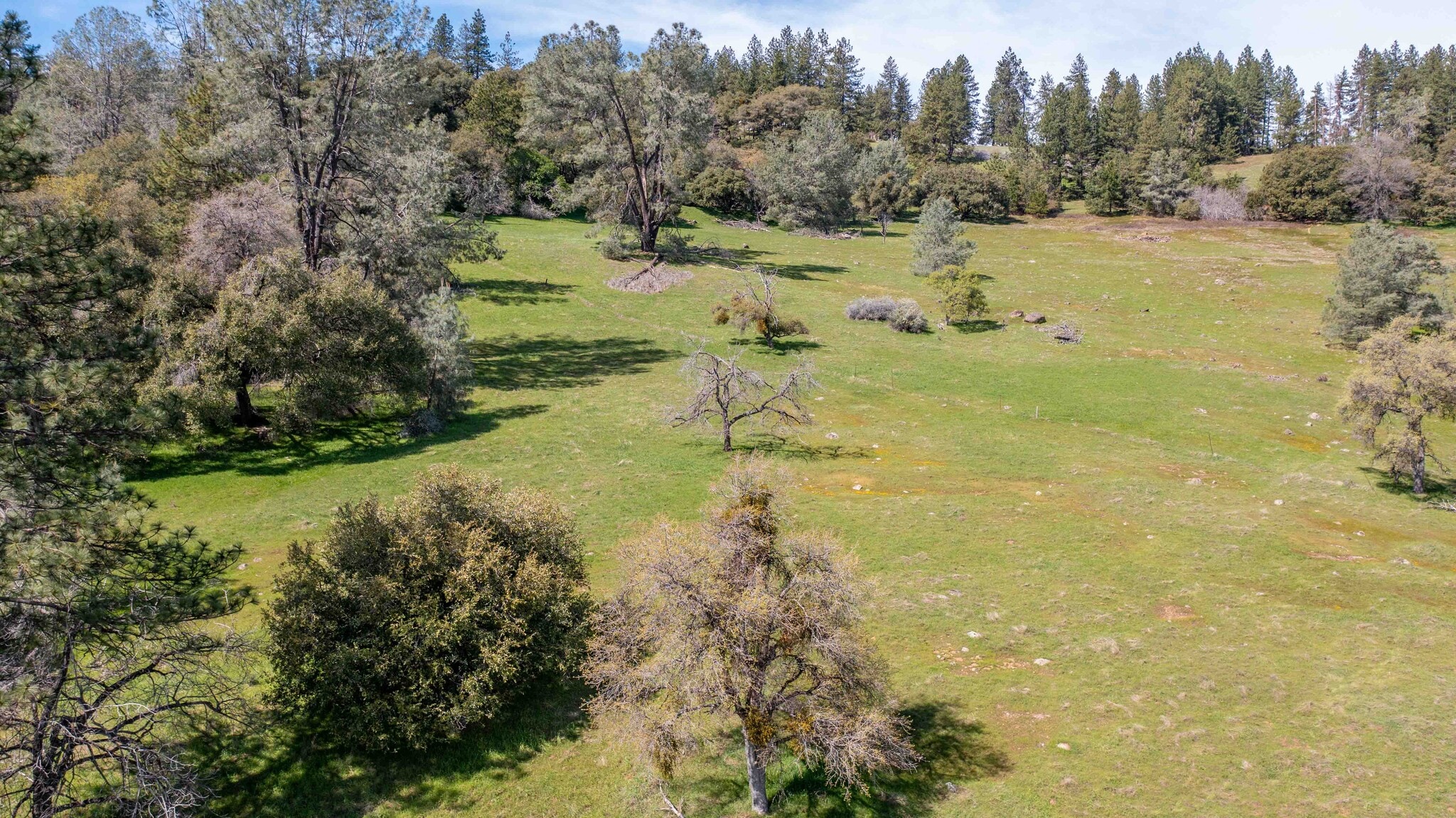 18800 Charleston Rd, Volcano, CA for Sale