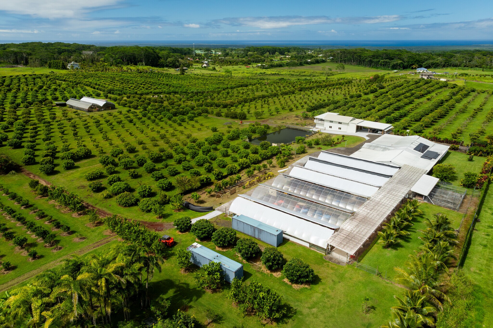 17-4150 Huina Rd., Kurtistown, HI for Sale