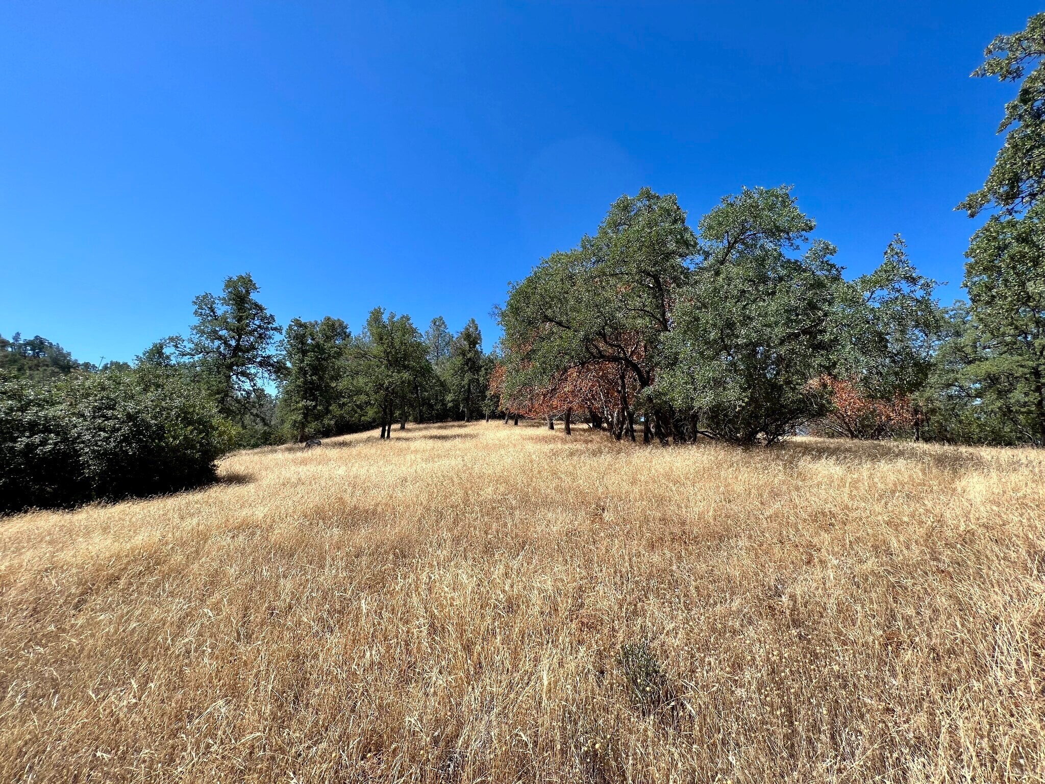 3090 Omo Ranch Rd, Somerset, CA for Sale