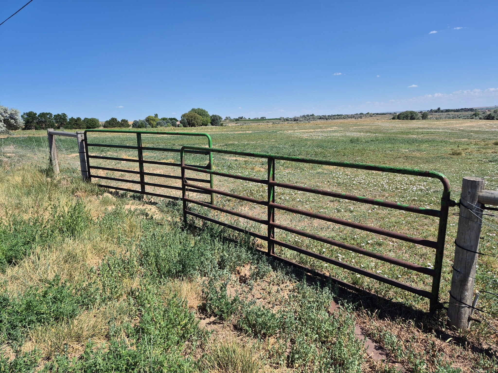 9140 County Road 54, Milliken, CO for Sale