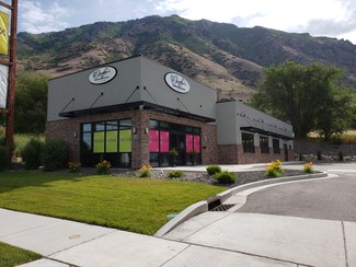 Springville, UT Retail - 1480 N Main St