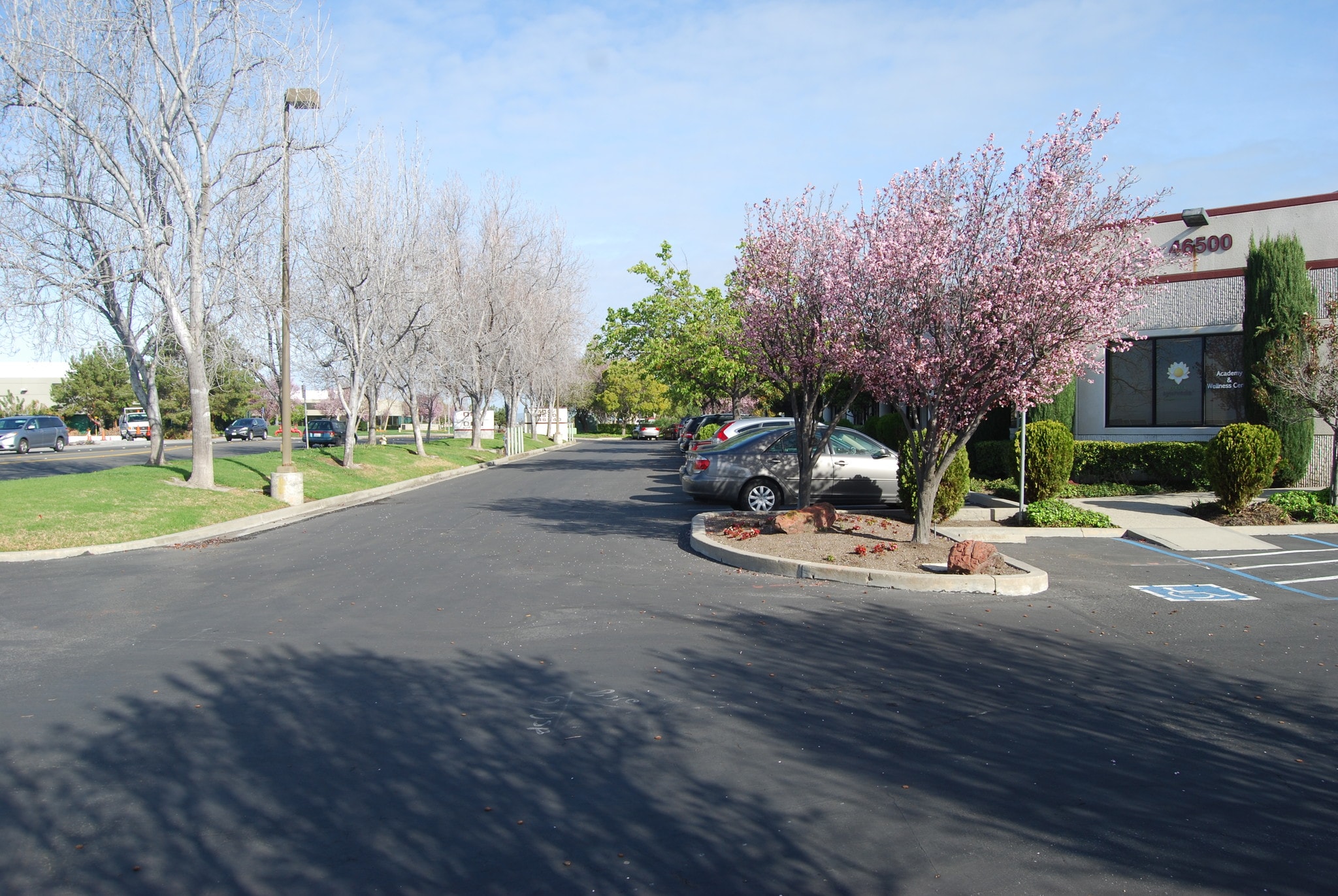 46560 Fremont Blvd, Fremont, CA for Sale