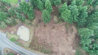Sumner, WA Commercial Land - 19728 Forest Canyon E rd Sumner, WA Commercial Land - 19728 Forest Canyon E rd