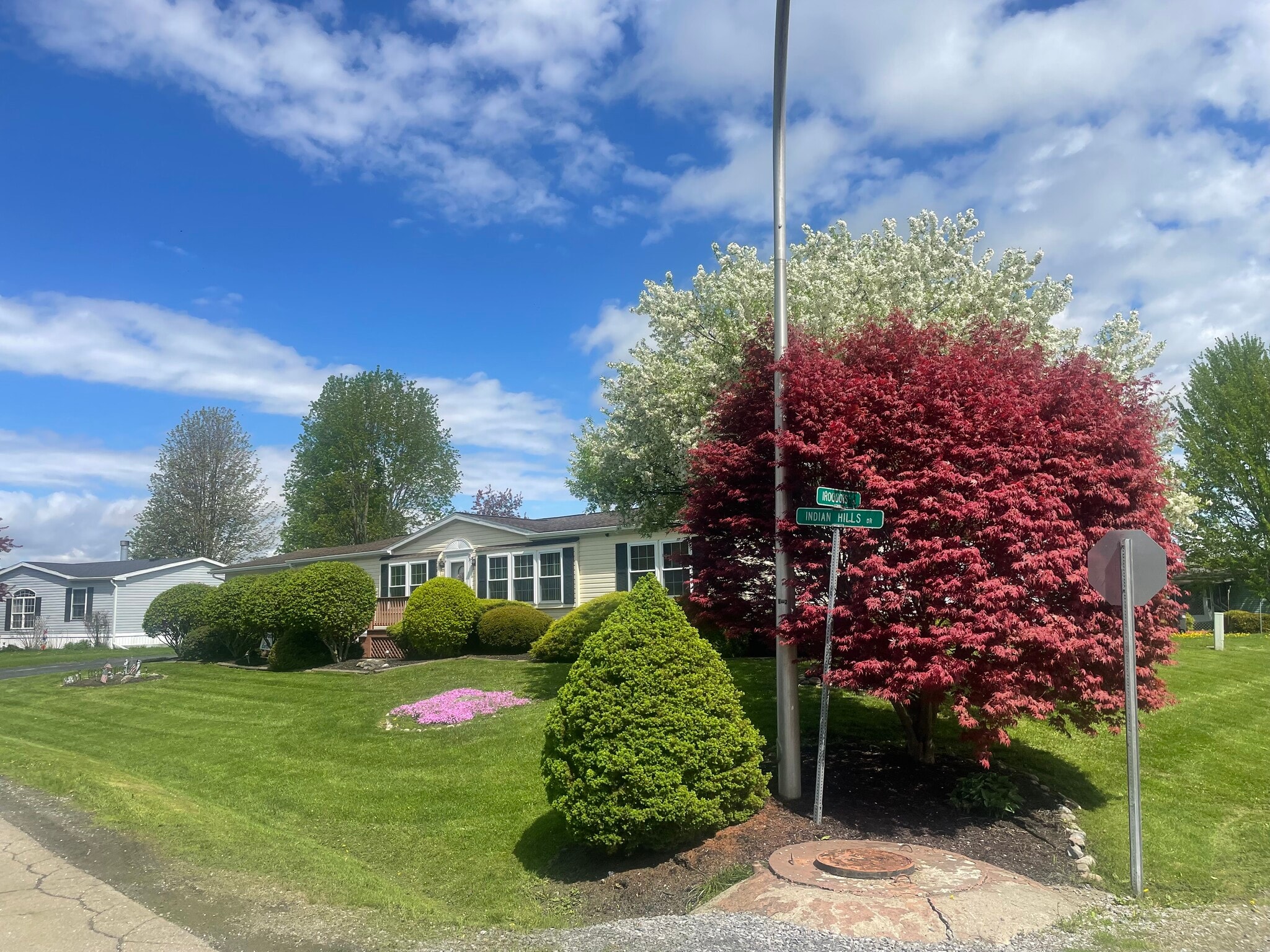 New York 96, Waterloo, NY for Sale