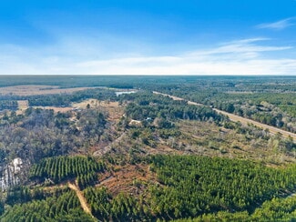 Perdido, AL Commercial - 55750 Lottie Rd