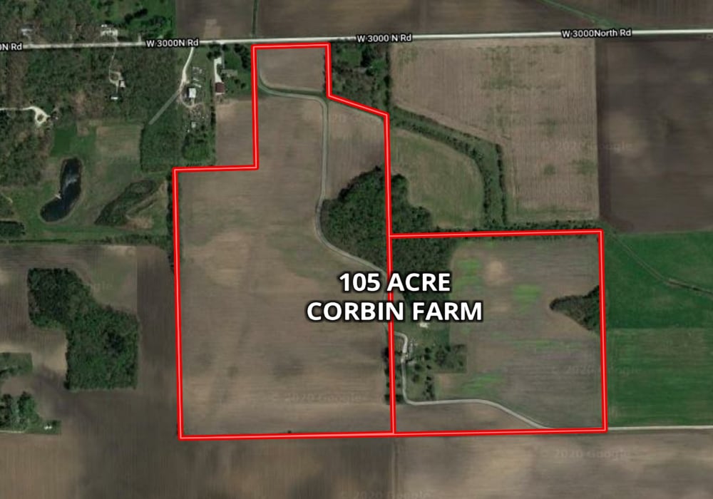 W 3000 N Road, Bonfield, IL for Sale