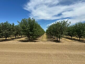 Mendota, CA Agricultural - SEC of W. Belmont & N. Russell Aves.