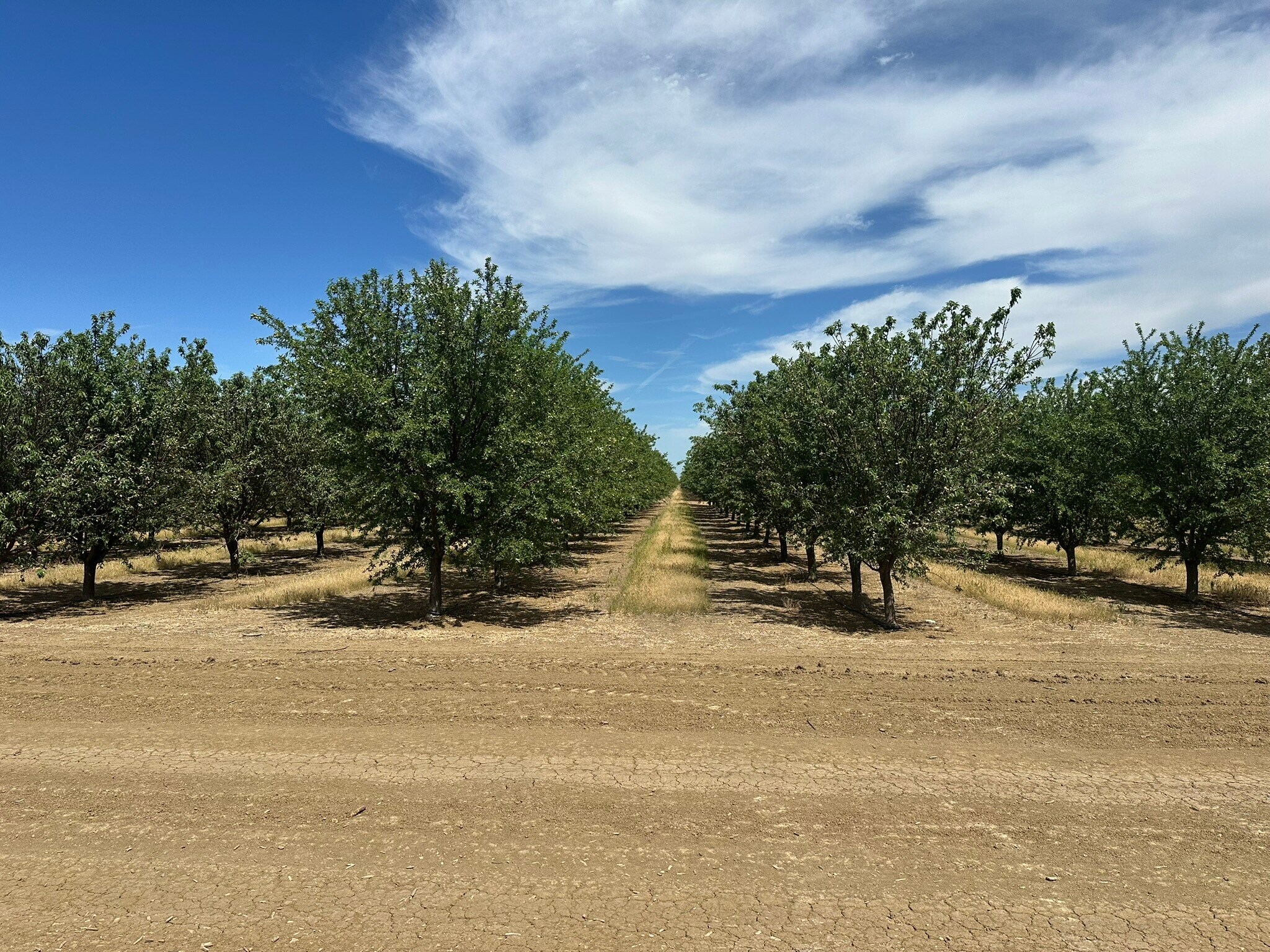 SEC of W. Belmont & N. Russell Aves., Mendota, CA for Sale