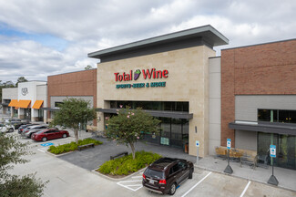 The Woodlands, TX Retail - 1900 Lake Woodlands Dr
