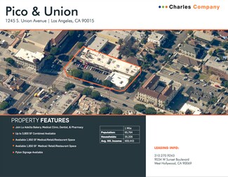 Los Angeles, CA Medical, Retail - 1245 S Union Ave