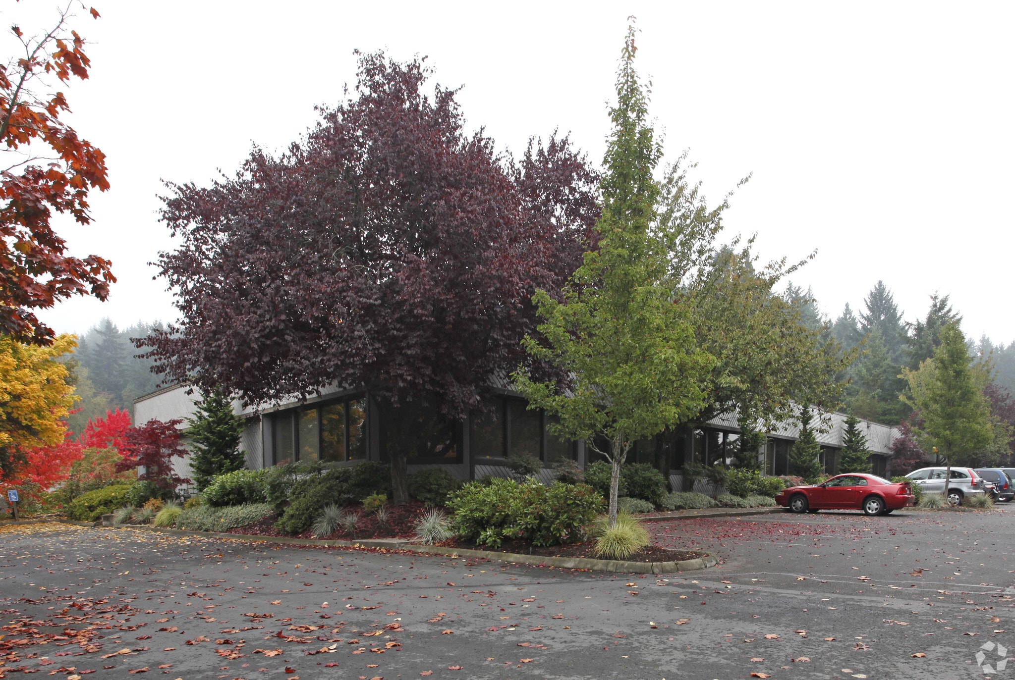8565 SW Salish Ln, Wilsonville, OR for Rent