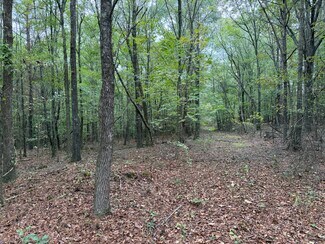 Cedartown, GA Commercial - Colquitt Rd Cedartown, GA Commercial - Colquitt Rd