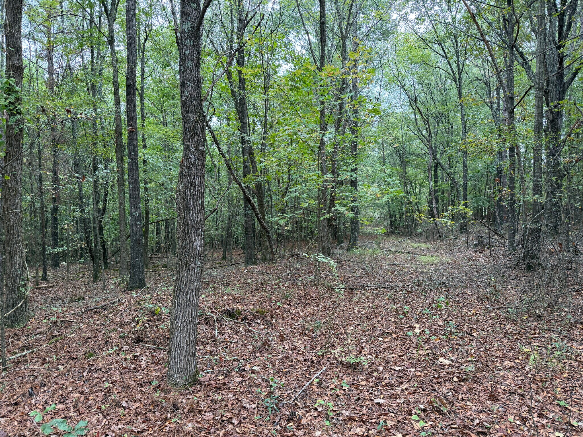 Colquitt Rd, Cedartown, GA for Sale