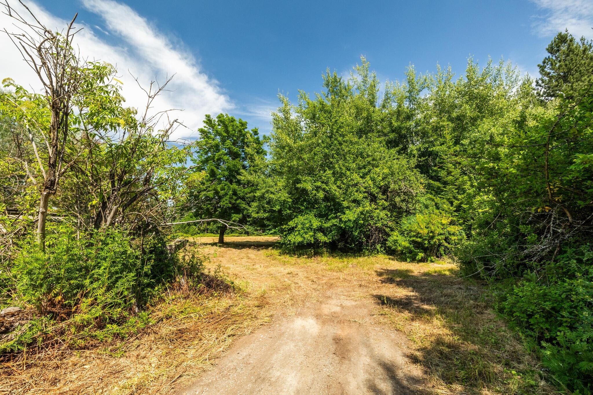 477545 US-95, Ponderay, ID for Sale