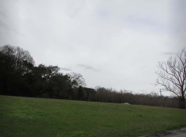 101 Grandview Terrace Dr Youngsville, LA 70592 Land Property for Sale