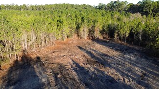 Ridgeland, SC Commercial - 319 - 547 Sisters Ferry Road