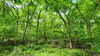 Trussville, AL Commercial Land - Near 5370 Deerfoot Parkway Pky