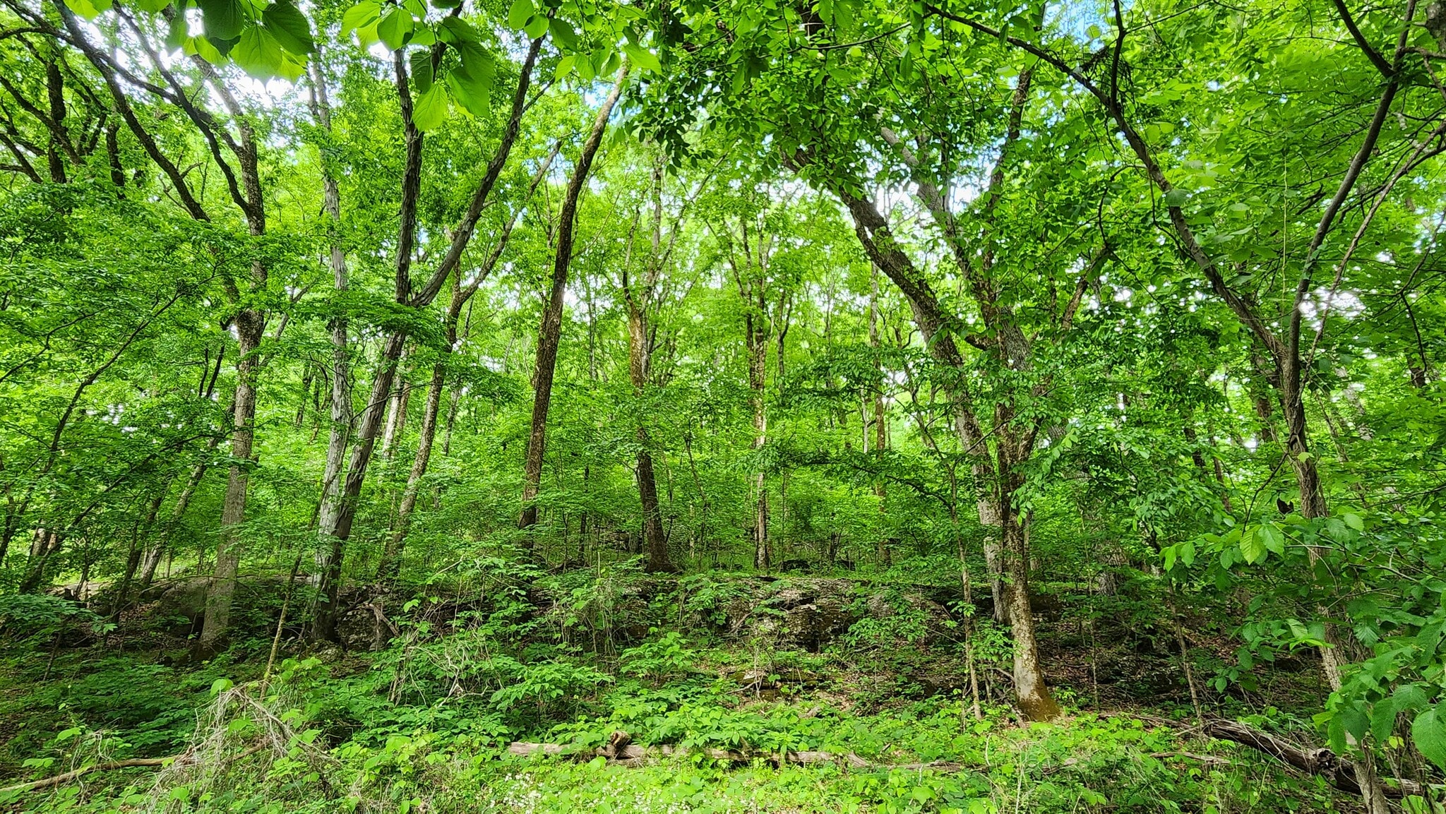 Near 5370 Deerfoot Parkway Pky, Trussville, AL for Sale