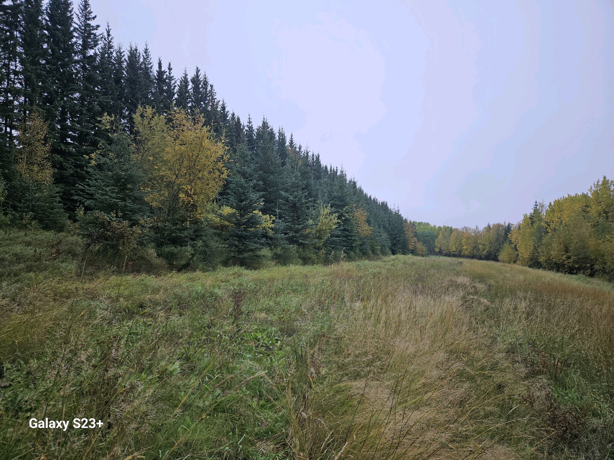 Ski Boot Hill Rd @ Solitude Way, Fairbanks, AK for Sale