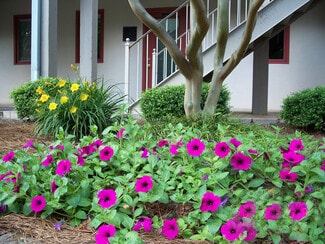 Roswell, GA Office/Residential - 200 Market Pl