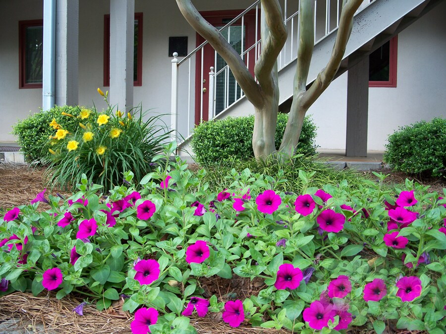 200 Market Pl, Roswell, GA for Sale