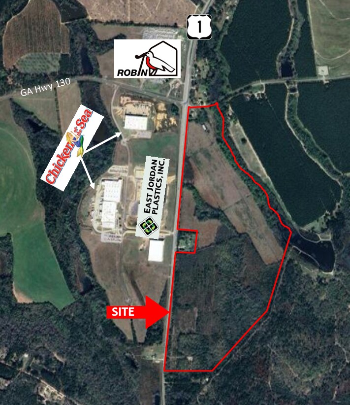 1687 US Highway 1 N, Lyons, GA for Sale