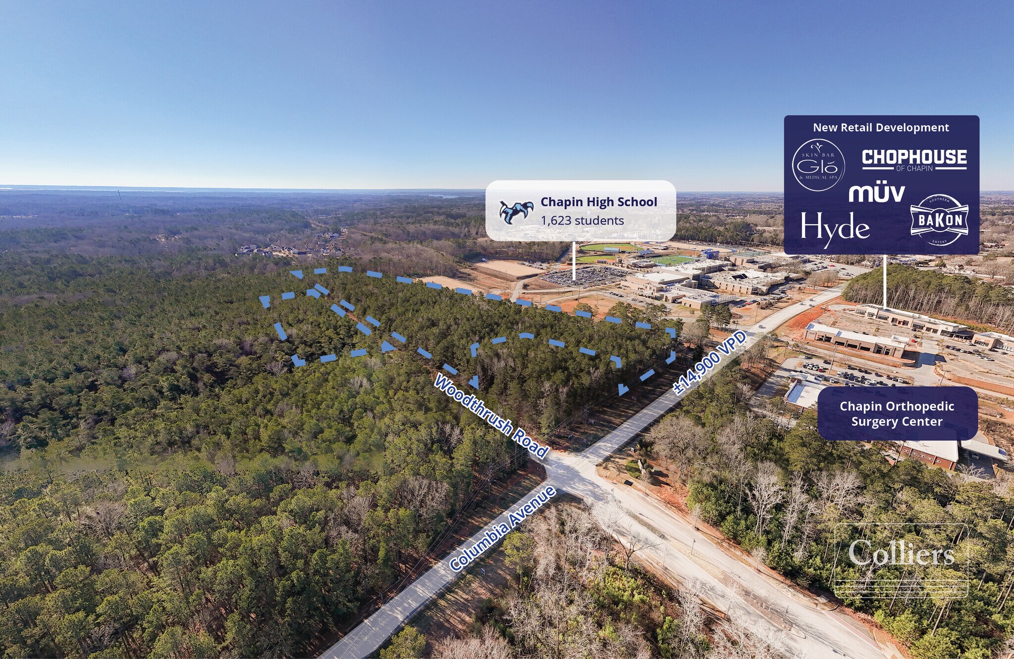 Woodthrush Rd, Chapin, SC for Sale