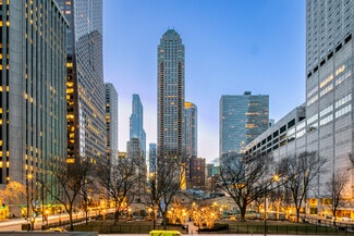 Chicago, IL Retail - 800 N Michigan Ave