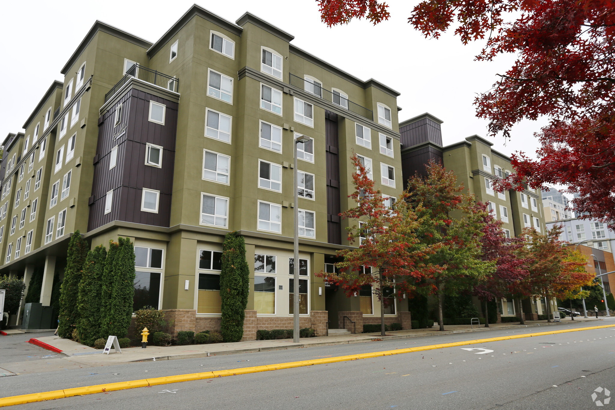 123 NE 112th Ave, Bellevue, WA for Rent