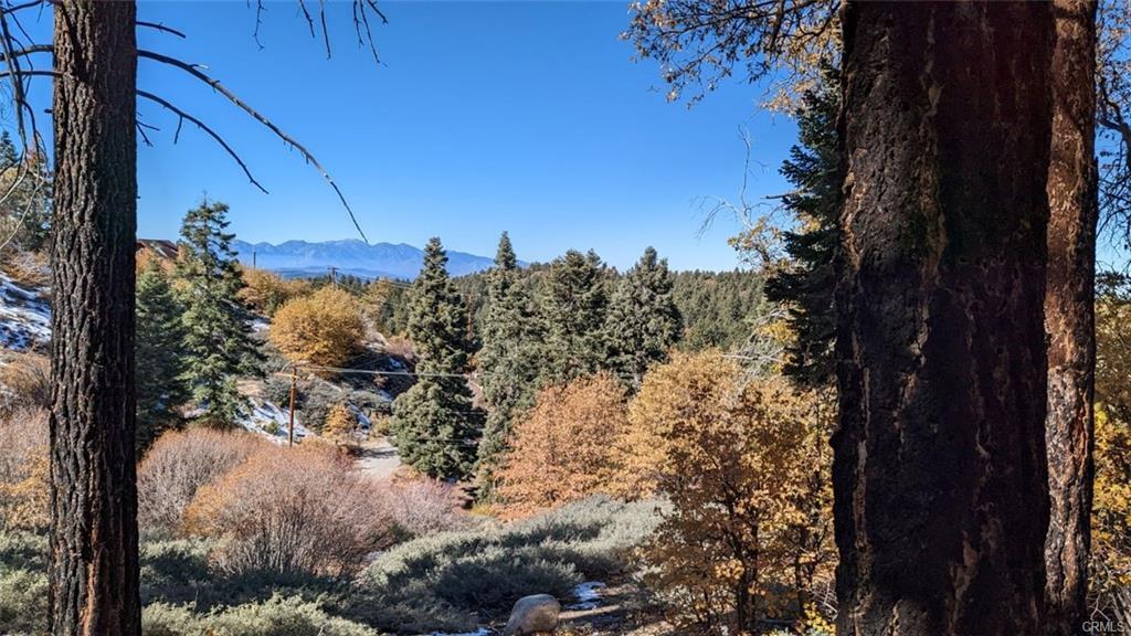 0 San Antonio, Green Valley Lake, CA for Sale