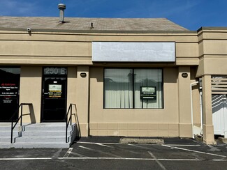 Mineola, NY Office/Retail - 250 Jericho Tpke