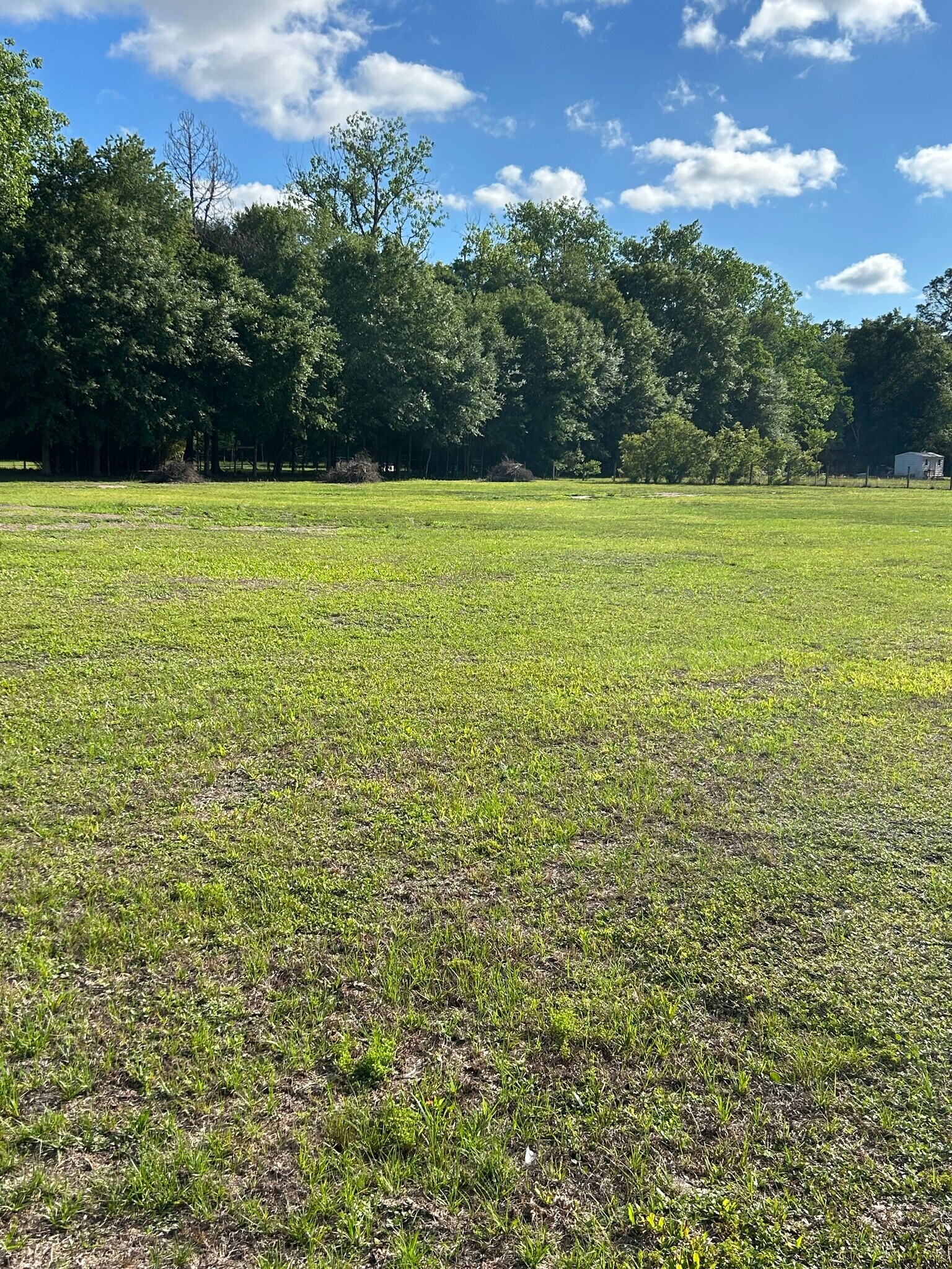NW 250th St, Lawtey, FL for Sale