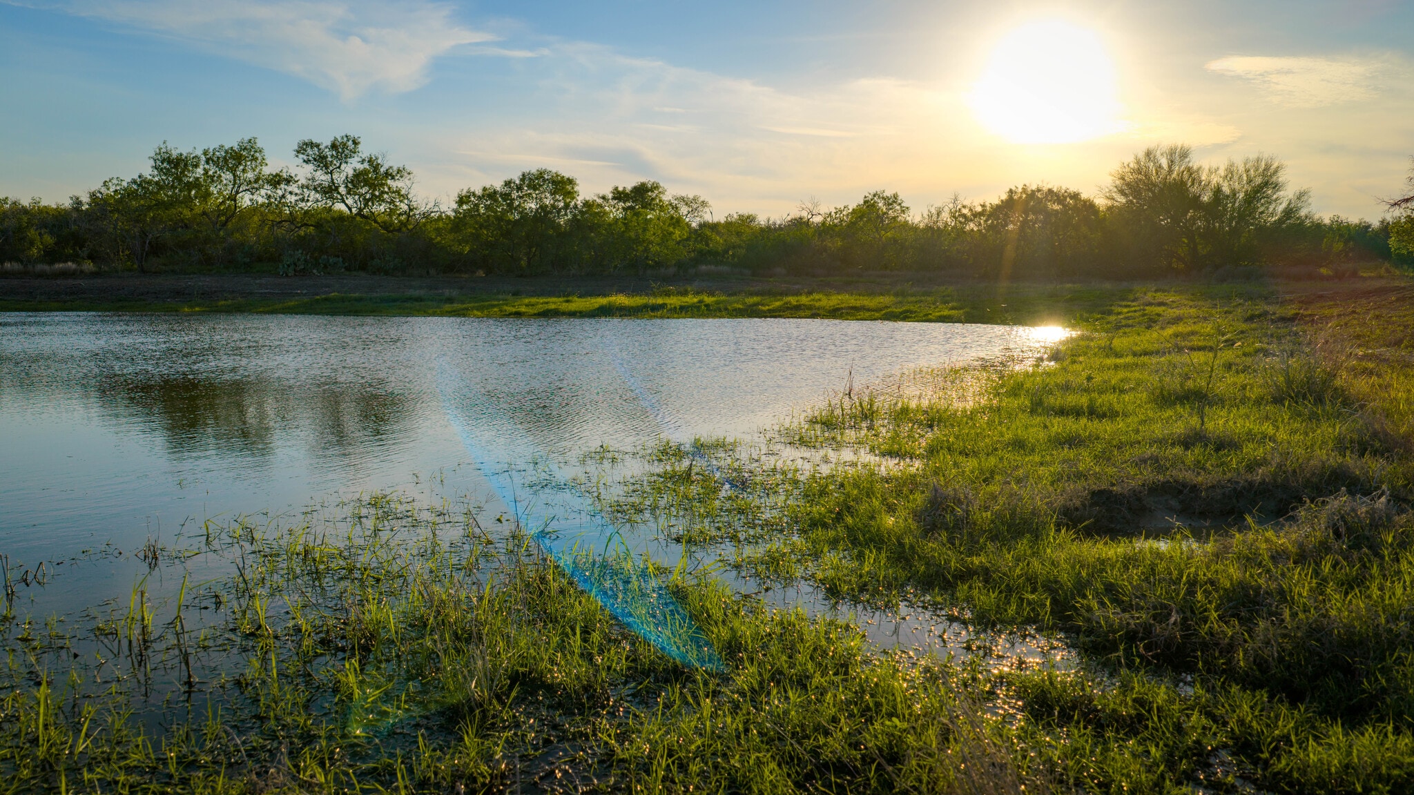FM 791, Campbellton, TX for Sale