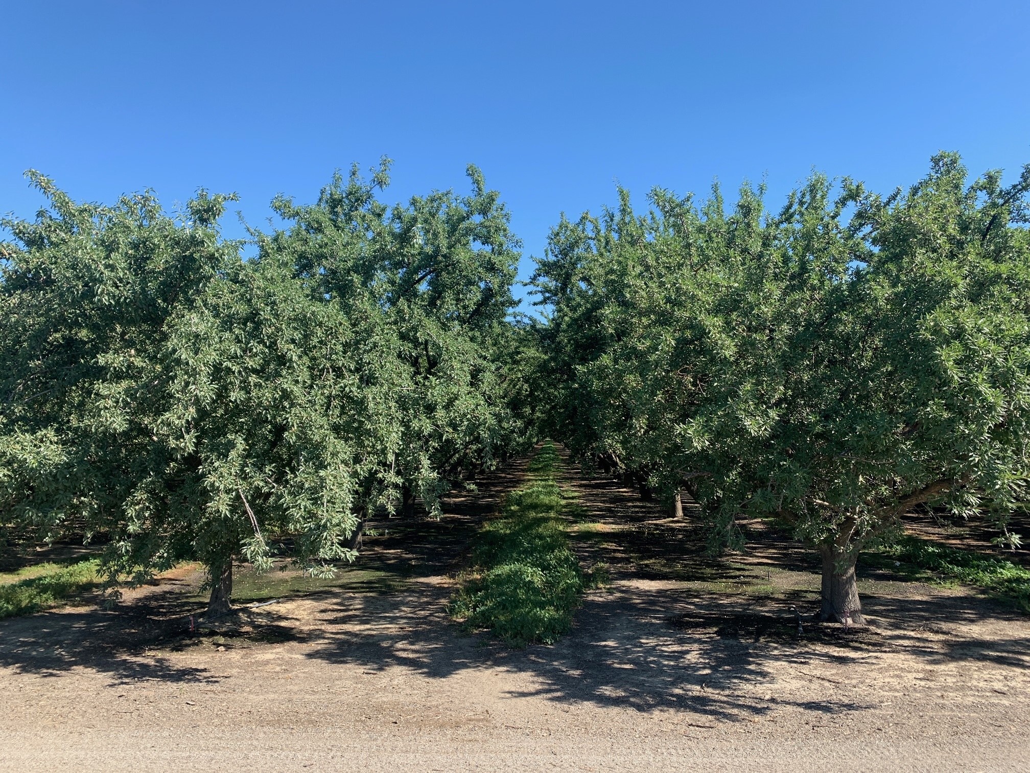 Sec Wildwood Rd & Sherwood Ave, Wasco, CA for Sale
