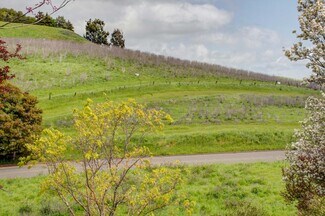American Canyon, CA Commercial Land - Eucalypus Dr X Teresa St.