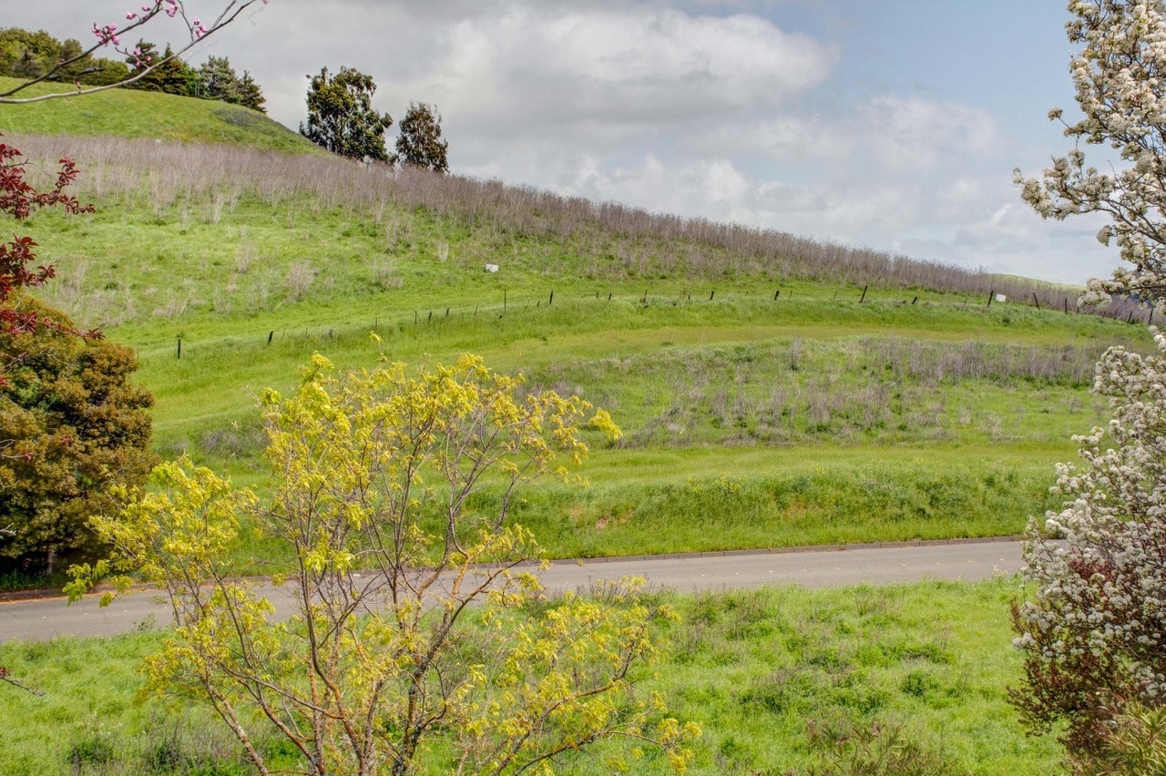 Eucalypus Dr X Teresa St., American Canyon, CA for Sale