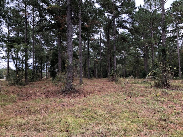 Wood Oak Cir, Cochran, GA for Sale