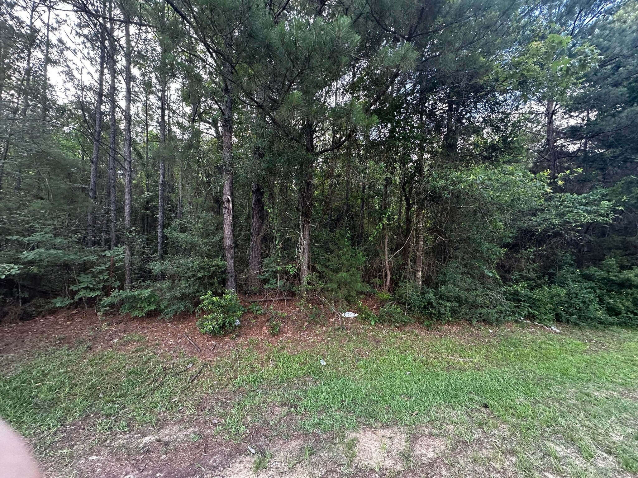 TBD Ebenezer Cemetery Road, Leesville, LA for Sale